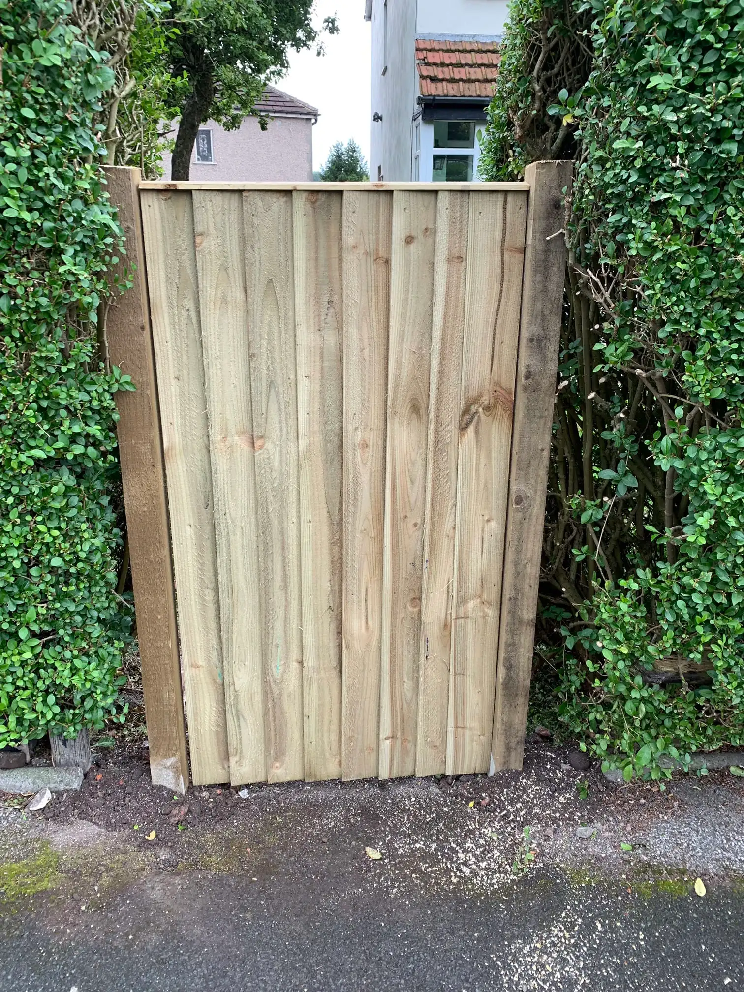 Images D & E Landscapes