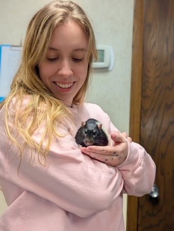 Images VCA Associates in Pet Care Animal Hospital