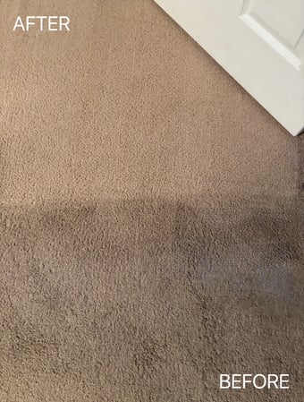 Images Voda Cleaning & Restoration