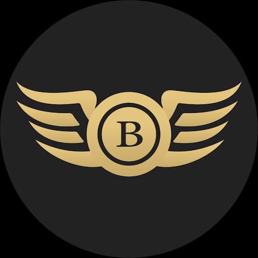 BlackWingz SF Limo & Black Car Service Logo