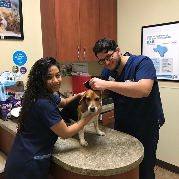 Images VCA Oak Hills Animal Hospital