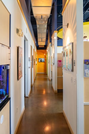 Images Kids Mile High Pediatric Dentistry - Central Park