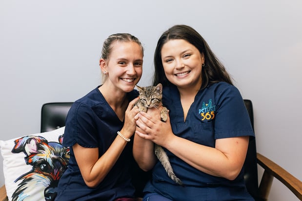 Images PetVet365 Pet Hospital Louisville / Jeffersontown