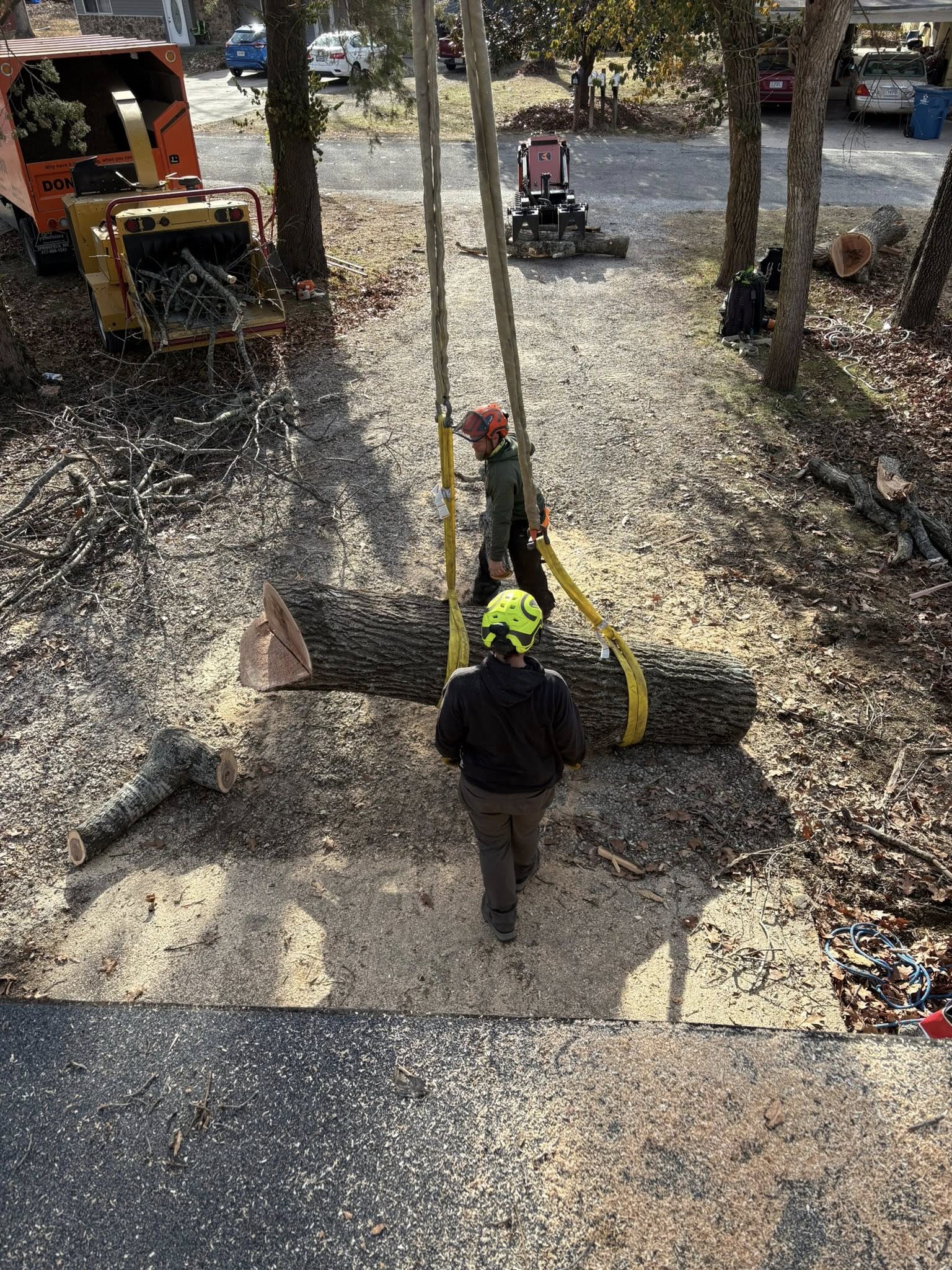 Benoit's Tree Care Image