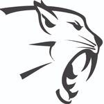 Wildcat Electric Logo