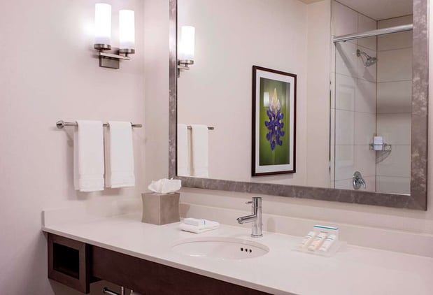 Images Hilton Garden Inn Downtown Dallas