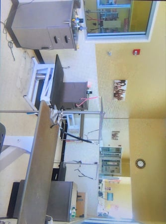 Images Petco