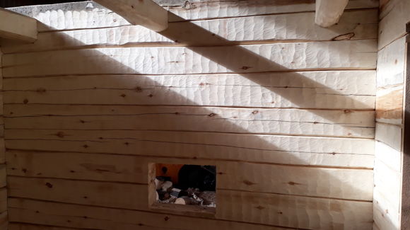 Images Tmi Jaakko Komulainen