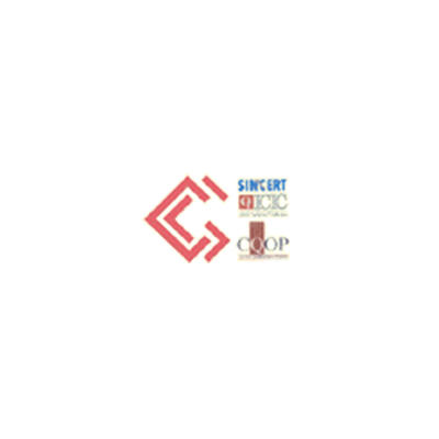 Cantieri Stradali Gallo Srl Logo