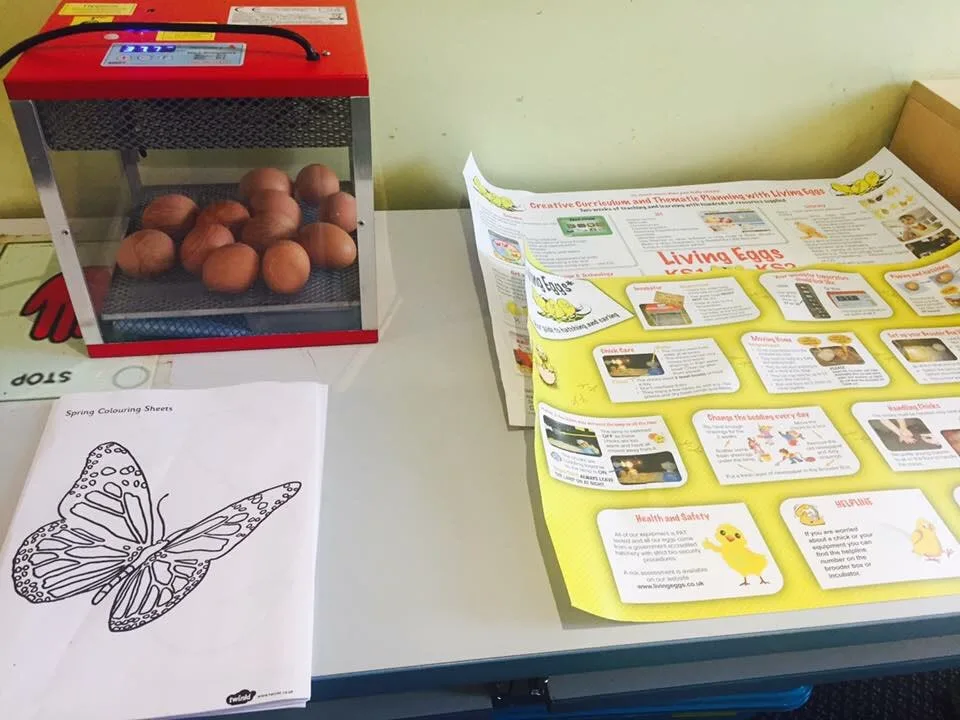 Images Sunshine Day Nursery York Ltd