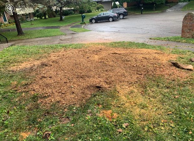 Images Prather Landscaping & Tree Service