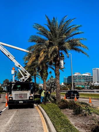 Images Mid-Florida Tree Service, Inc.
