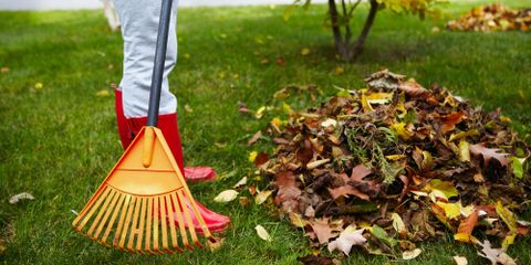 4 Lawn Maintenance Tips for Fall Cleanup Sharp Lawn Inc. Nicholasville (859)253-6688