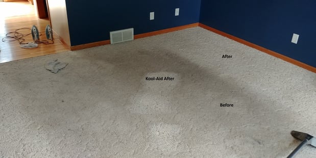 Images DJ Burris Quality Carpet Cleaning