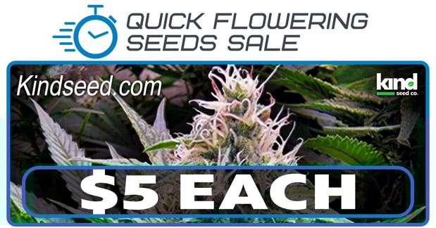 Images Kind Seed Co