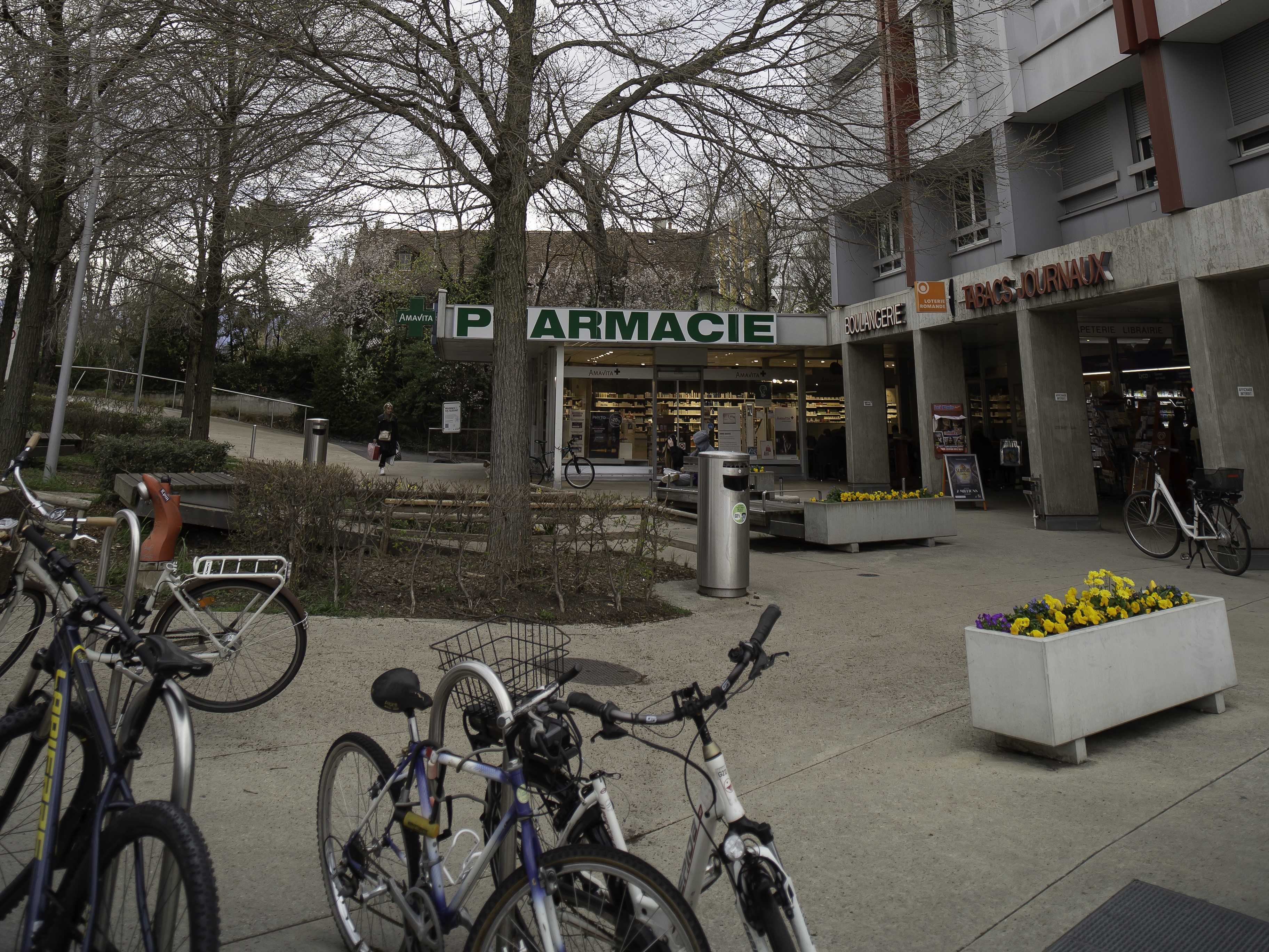 Galerie-Thumbnail
