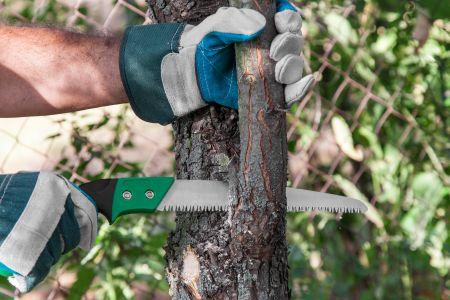 Images Branching Out Tree Services