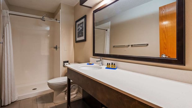 Images Best Western Plus Hudson I-94