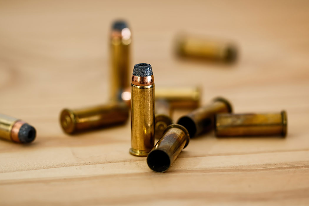 Bilder Waffen Pauli AG