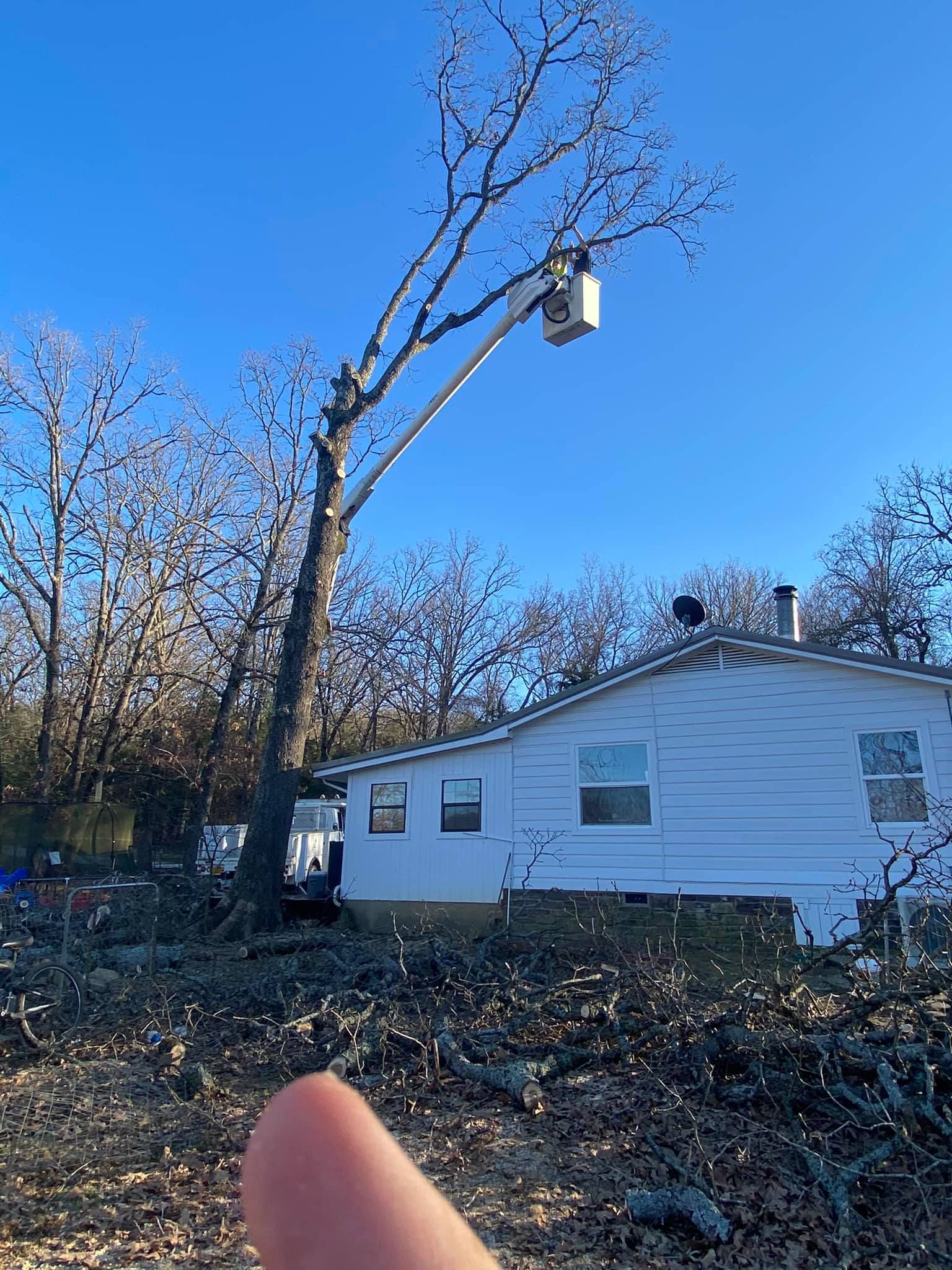 Down Rite Tree Service Image