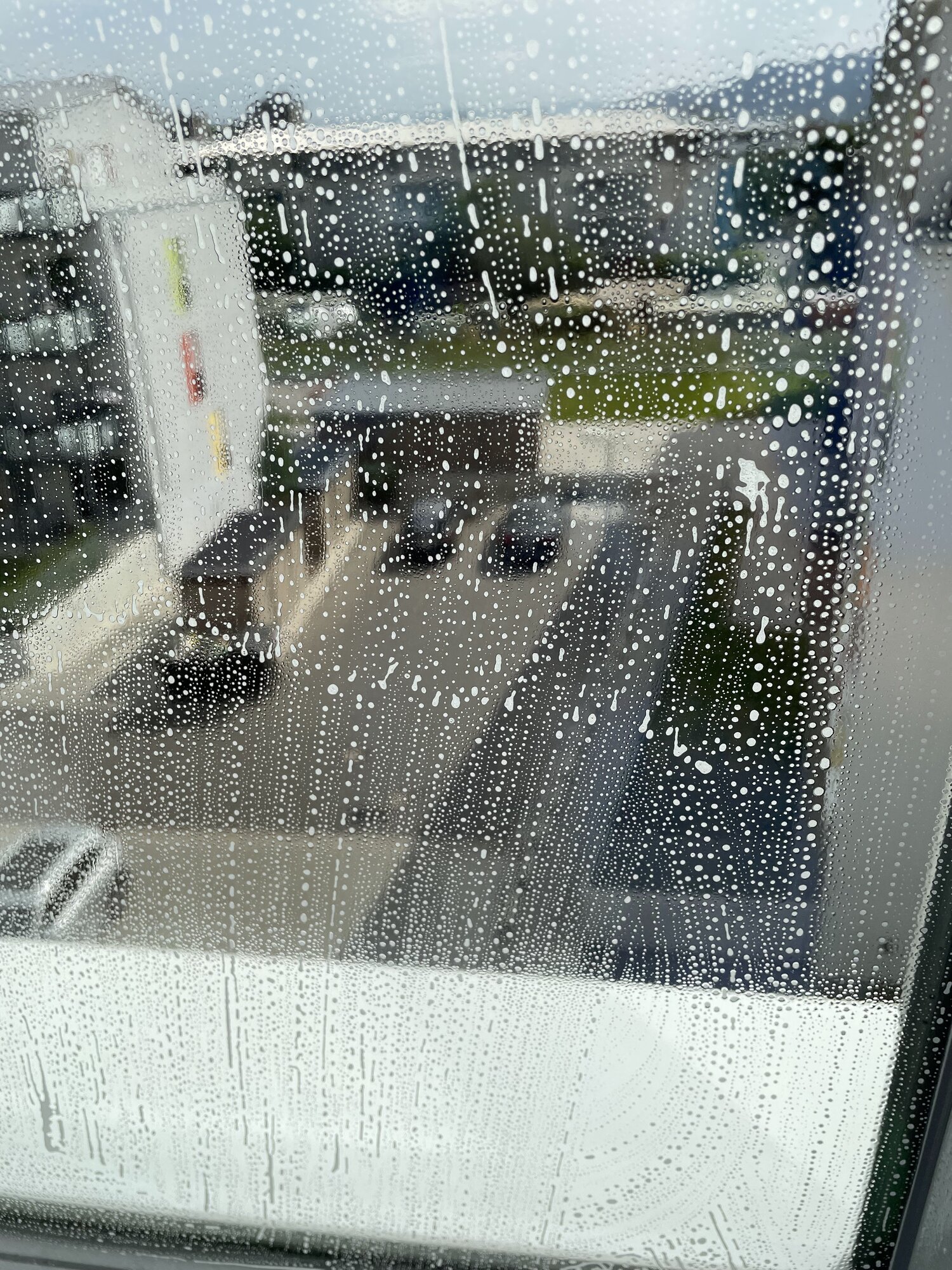 Gebäudereinigung Fiehn in Friesenheim