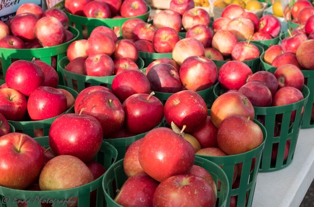 Established in 2004 as an initiative of the City of Maple Grove, the Maple Grove Farmers Market is a much loved year-round tradition in the northwest metro area.