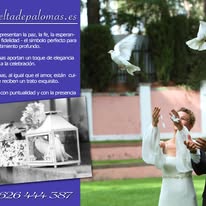 Images Suelta de Palomas