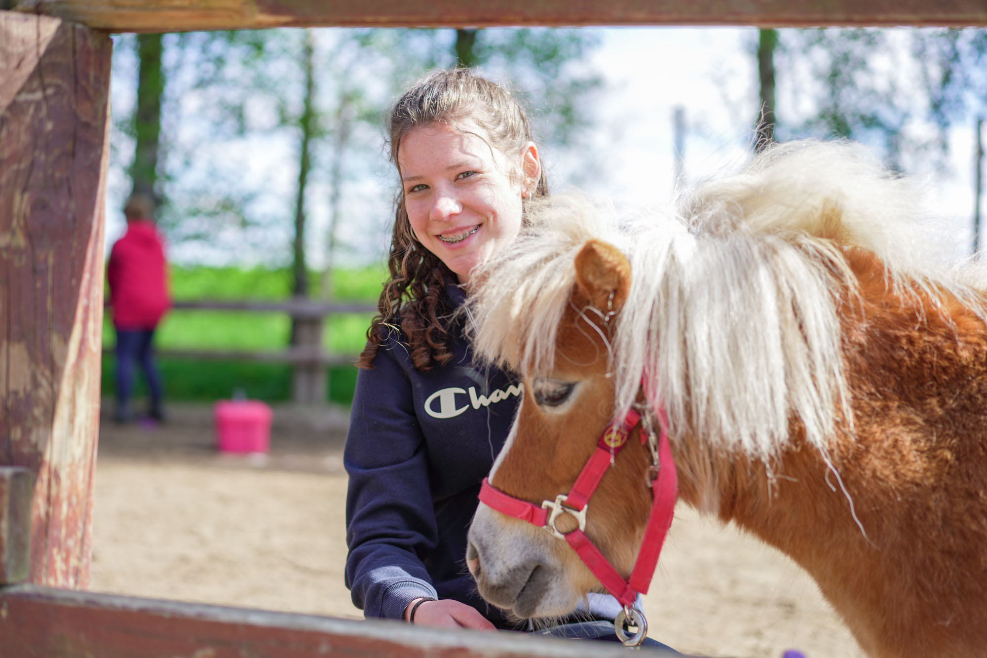 Bilder Familiencampingplatz Haselünne