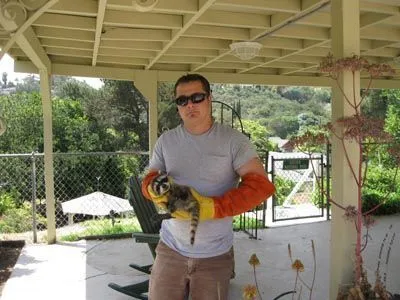 Wildlife Removal Services