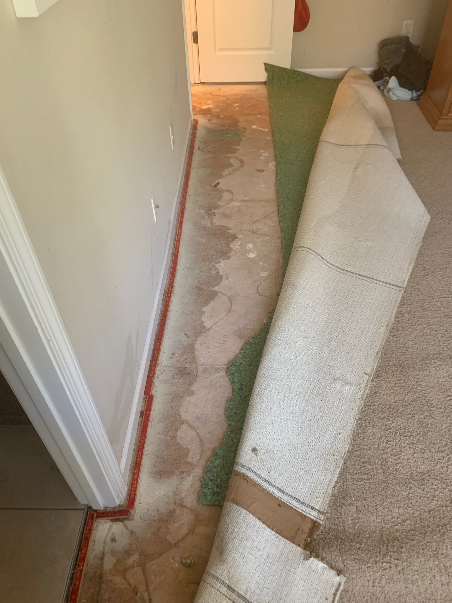 The Water Damage Pros Charlotte Charlotte (704)712-3130
