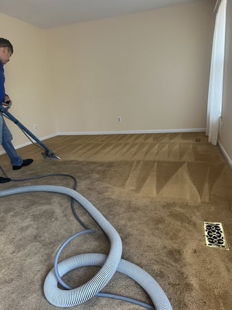 Images Best Carpet Cleaning