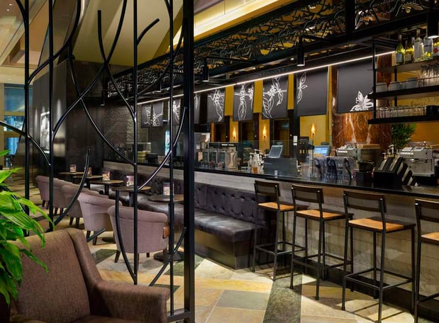 Images Hilton Americas-Houston