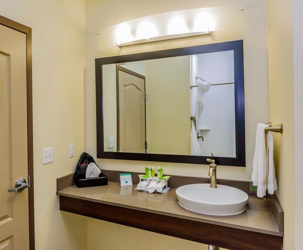 Images Holiday Inn Express Cheektowaga North East by IHG