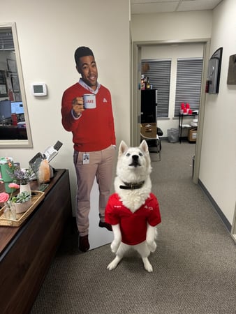 Images Trevor McBride - State Farm Insurance Agent