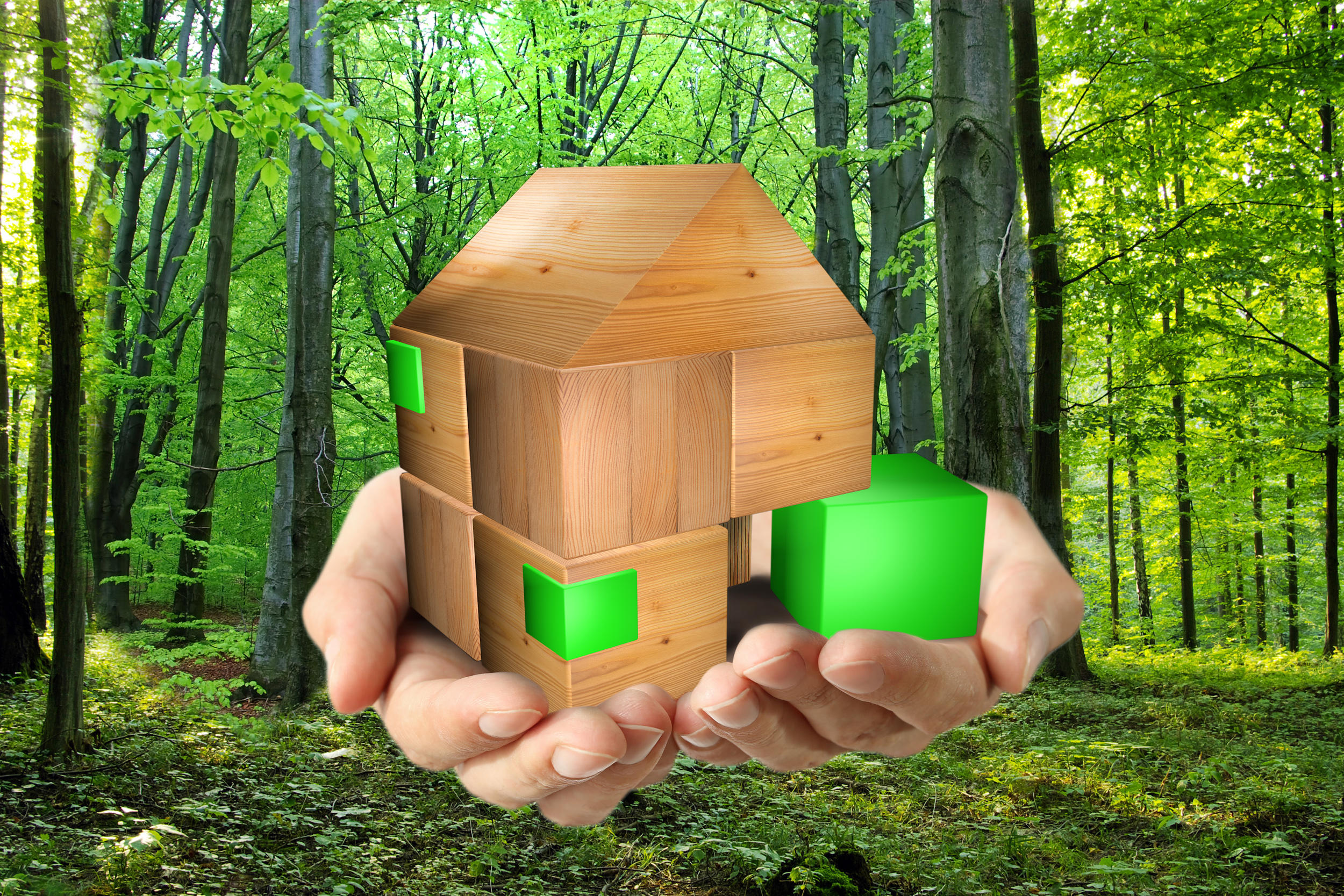 Natur Holzbau 1 GmbH, Raiffeisenstraße 1 in Maselheim