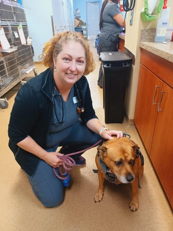 Images VCA Oak Hills Animal Hospital