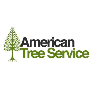 American Tree Service - , - Company Data