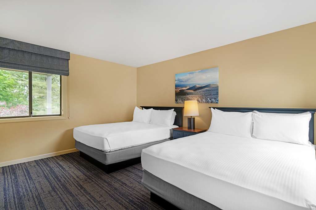 2 Queen Suite