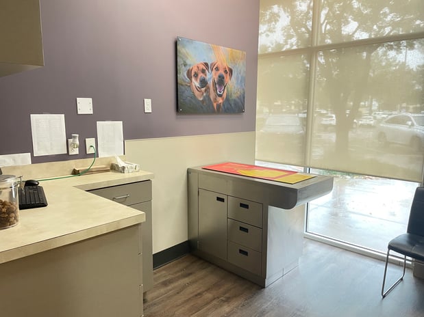 Images CityVet | Flower Mound