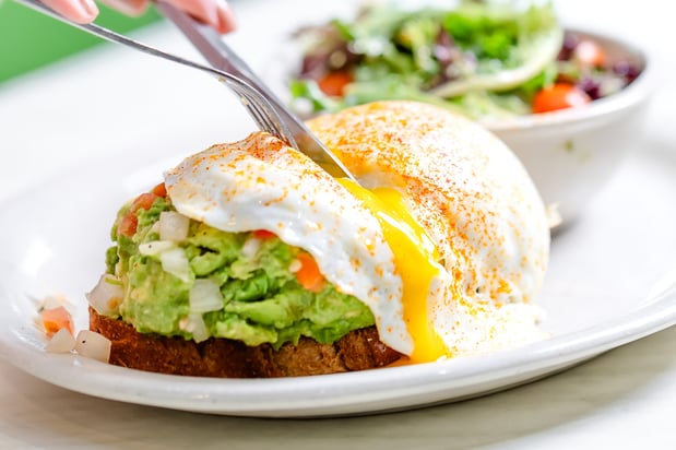 Images The Toasted Yolk Cafe