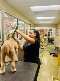 Petco Grooming Image