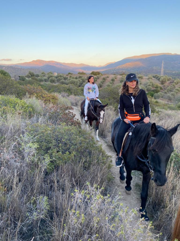 Images Centro Equestre Mirmex ASD
