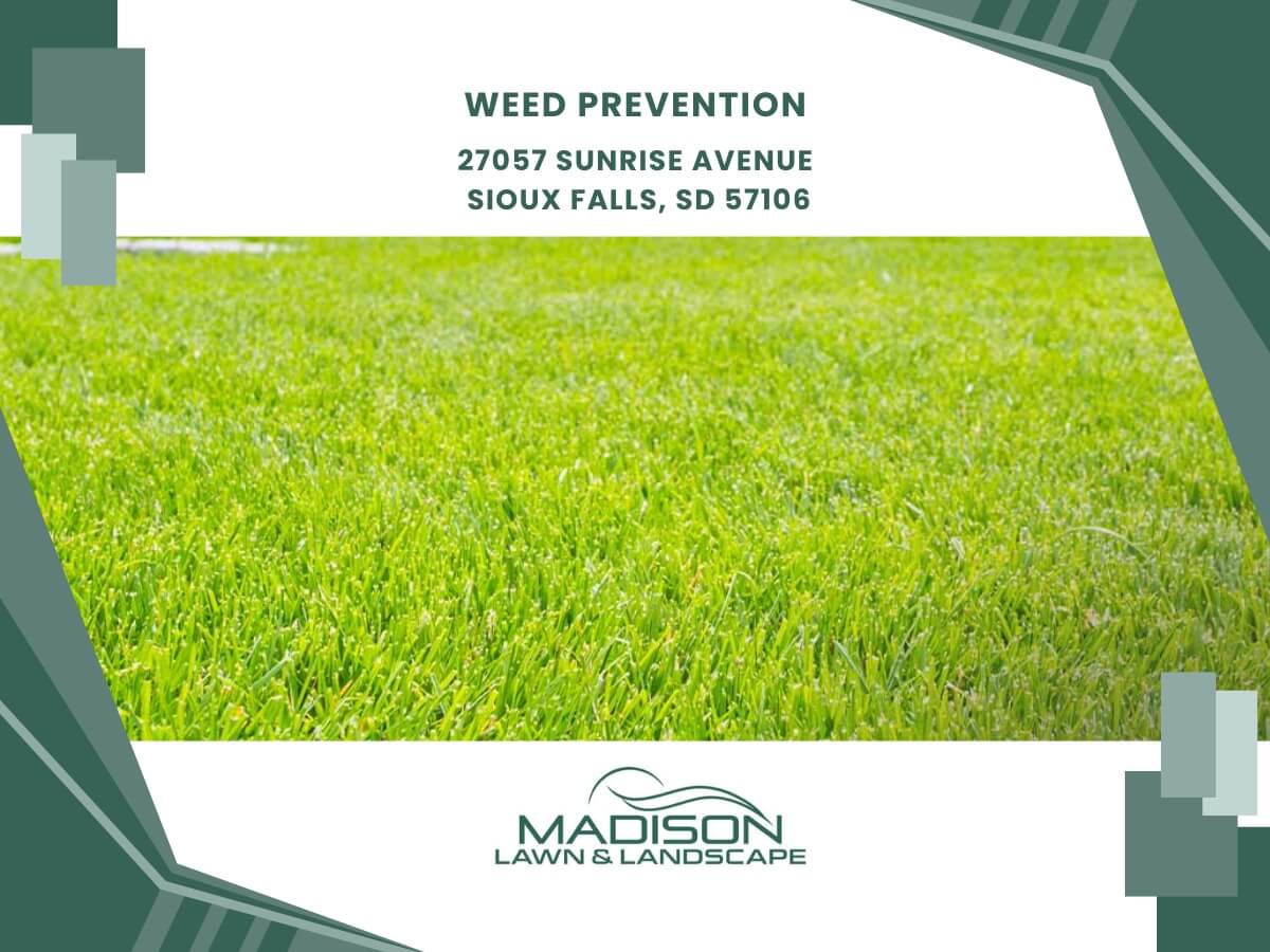 weed prevention