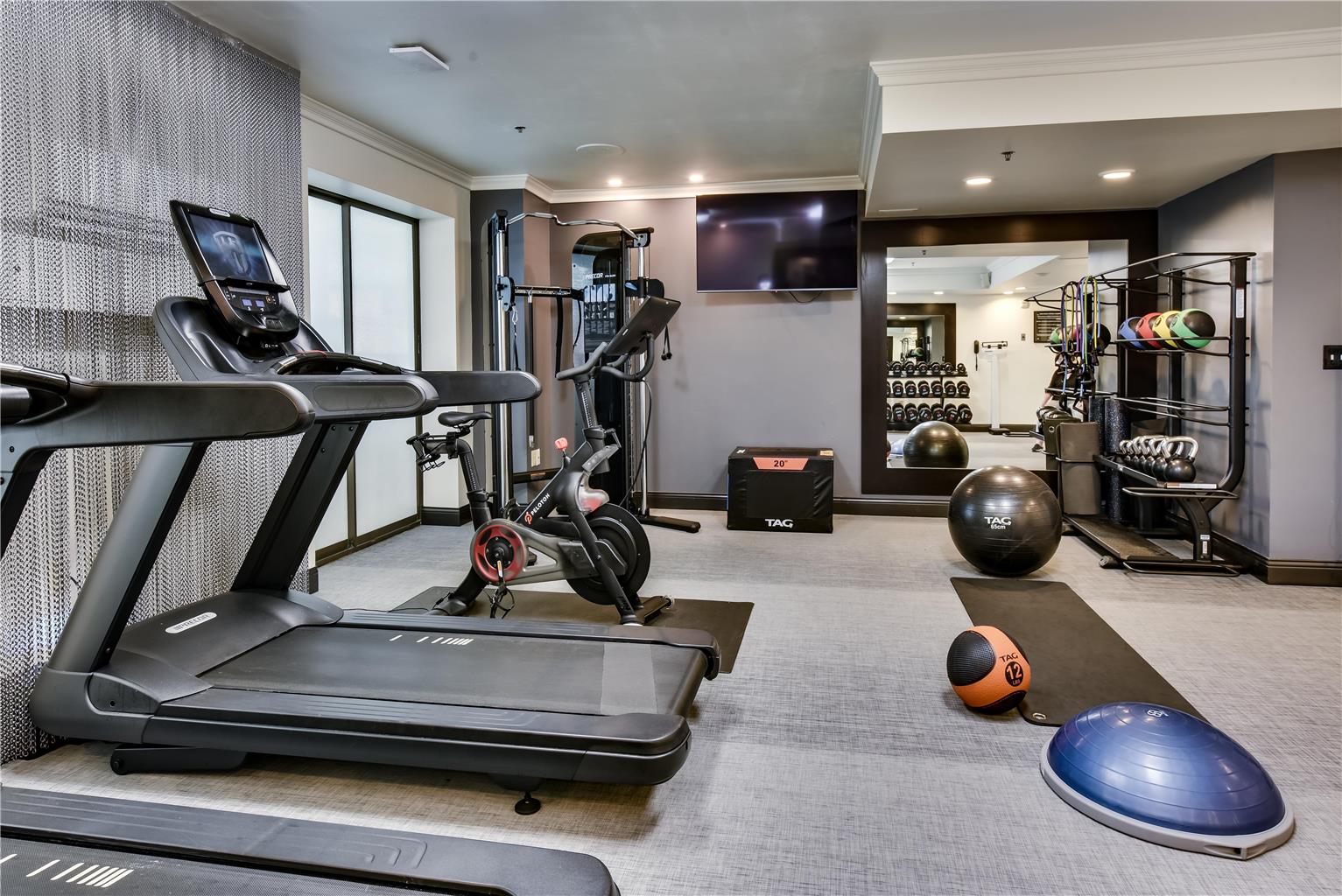 Health club  fitness center  gym