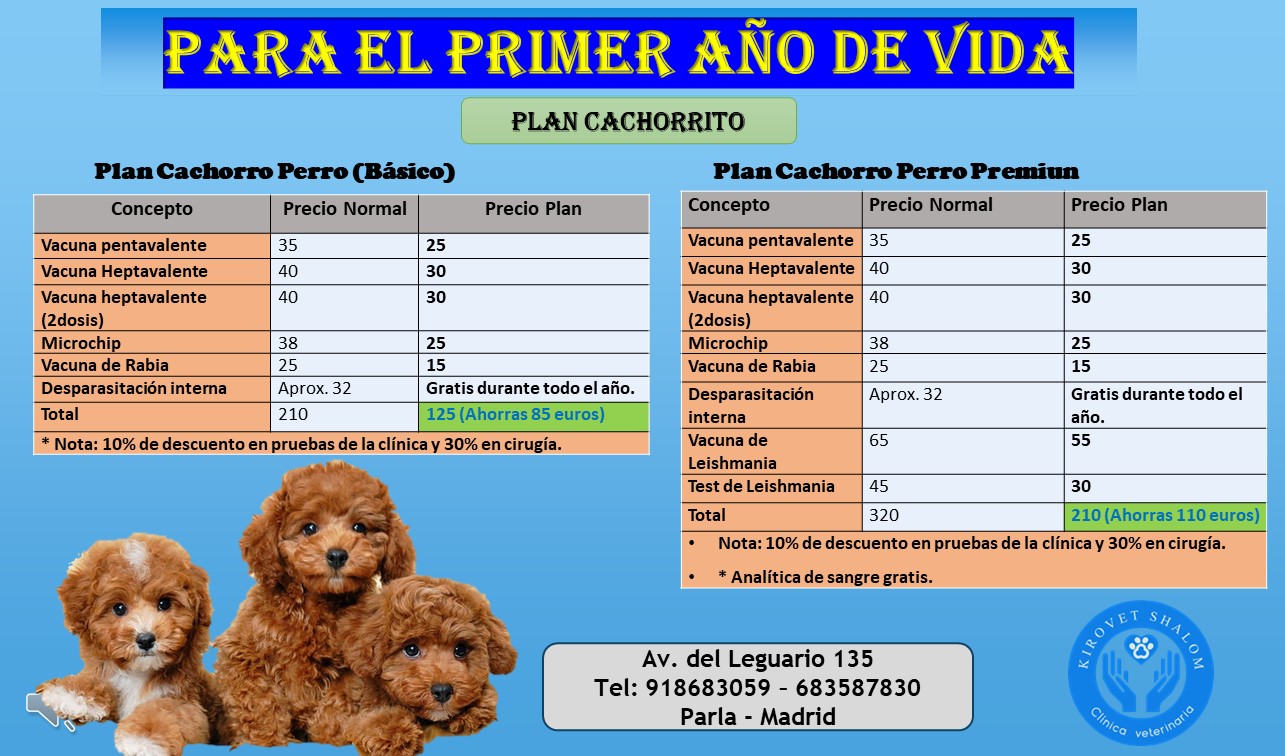 Images Clínica Veterinaria Kirovet Shalom S.L.