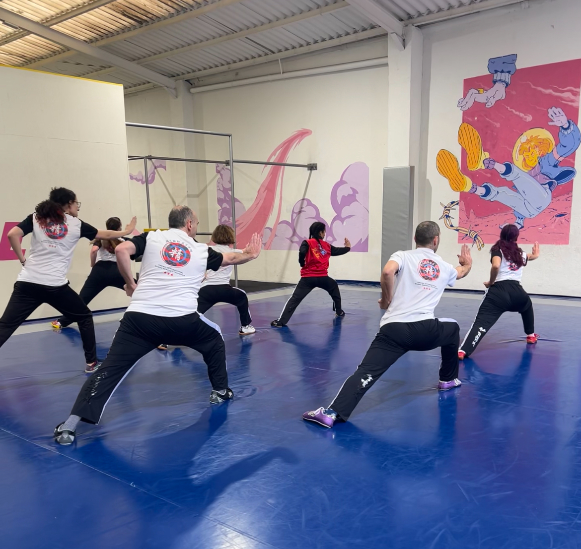 Images Escuela De Wushu/kung Fu Jingwu