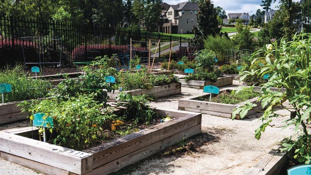 Images Regency at Holly Springs