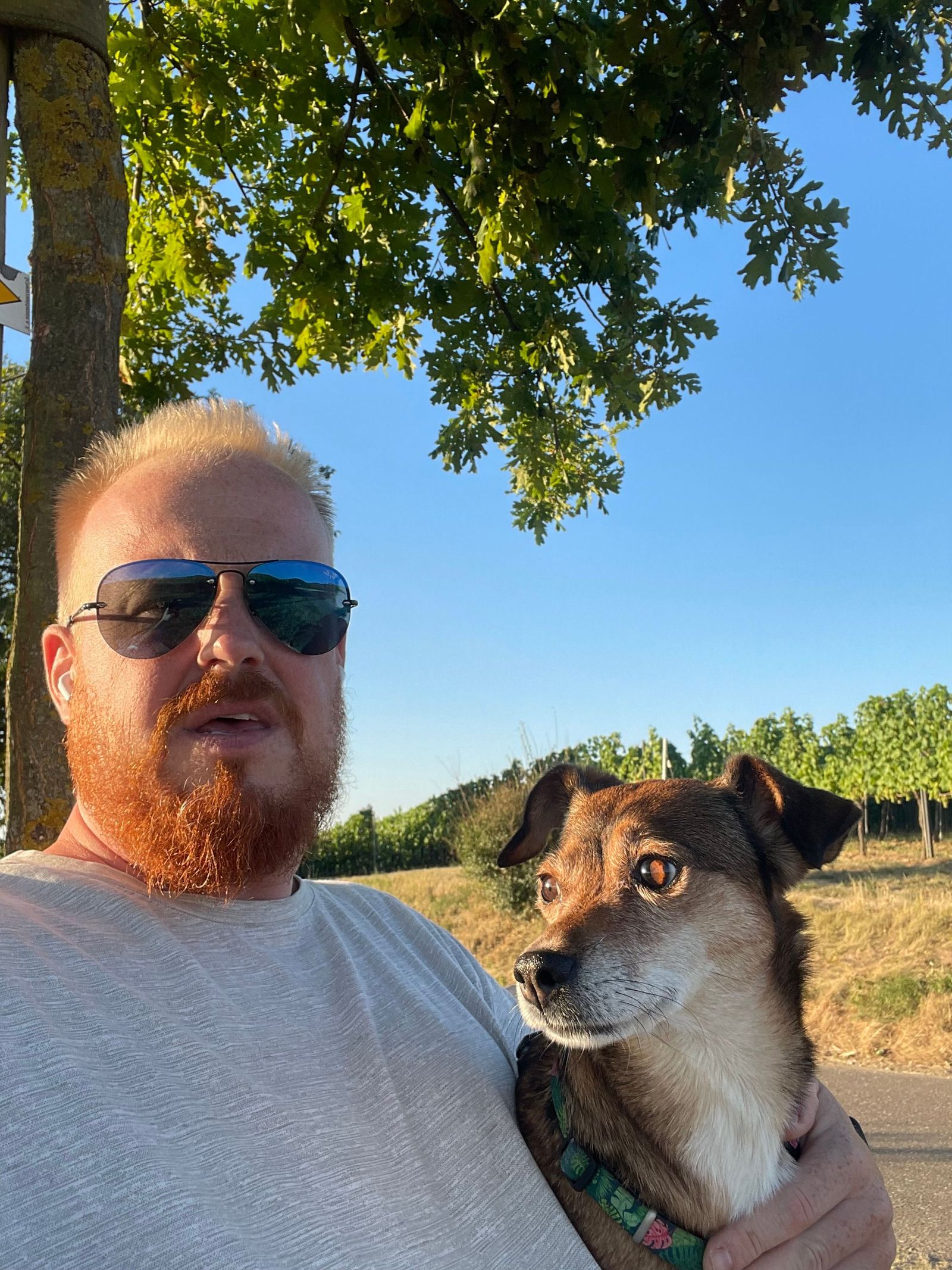 Constantin  Sulz Musikdienstleistungen, Staufenerstr. 12 in Ehrenkirchen