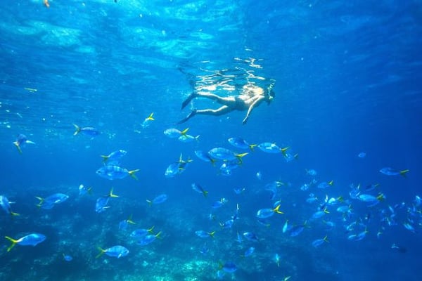 大自然を満喫するアクティビティや人気レストランでのディナー1回付き！はじめて旅パラオ5日間【海外おすすめプラン】