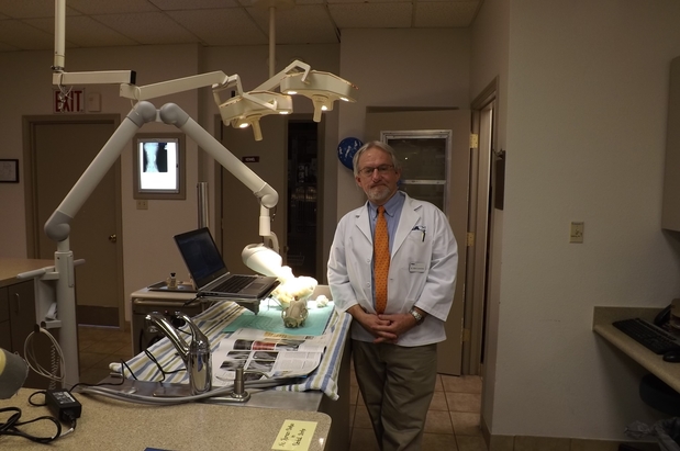 Images VCA Elliot Park Animal Hospital